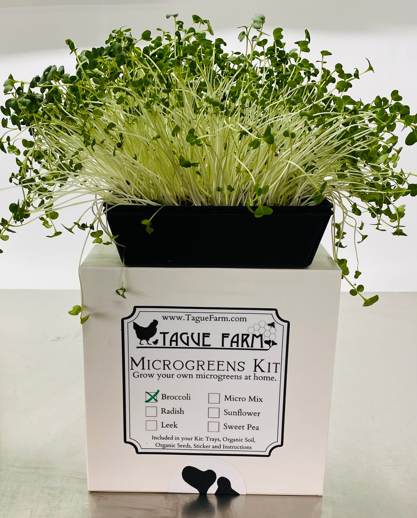 Microgreens Kit