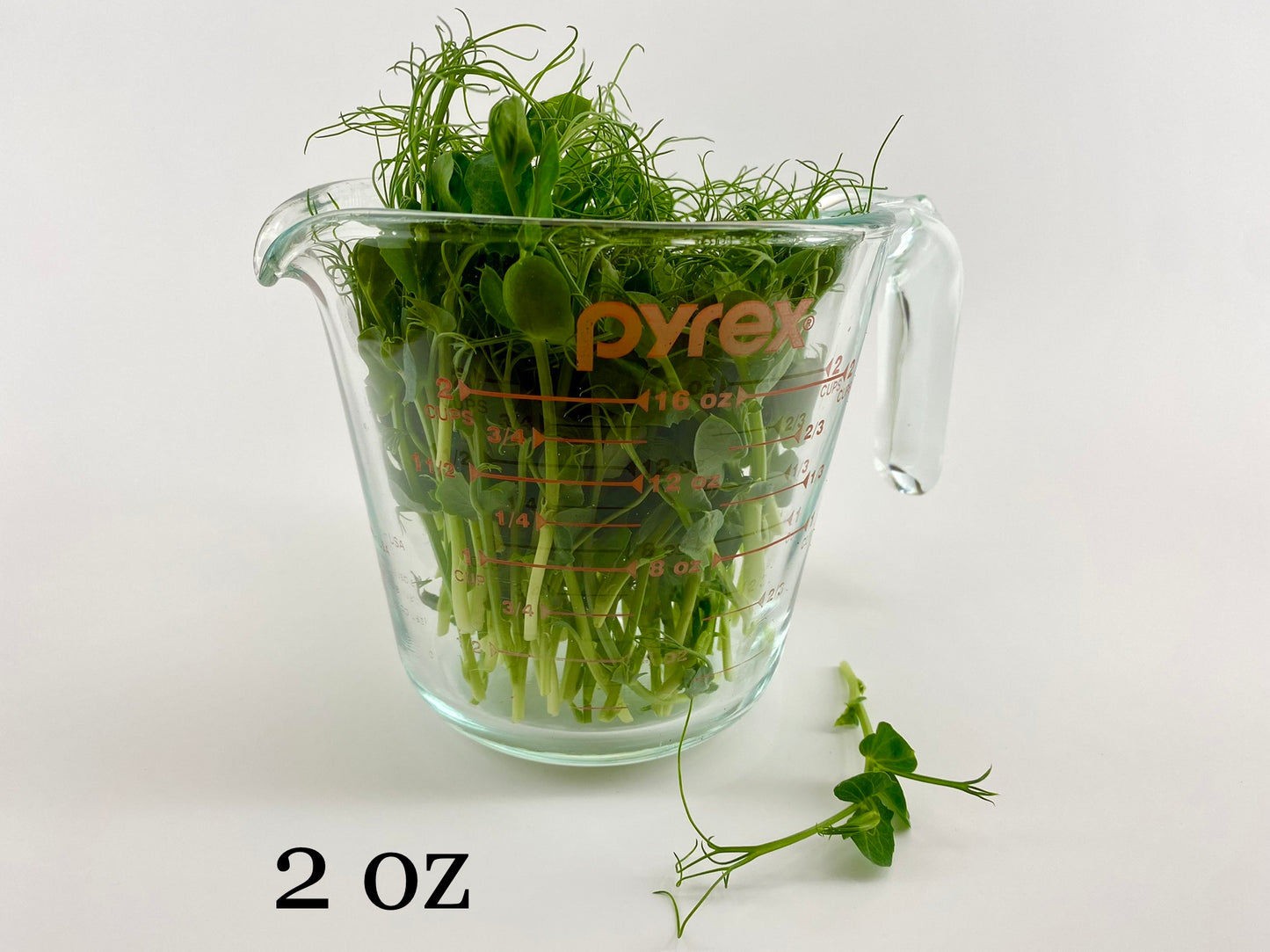 Sweet Pea Microgreens